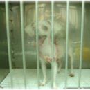 속편한동물약국 이미지