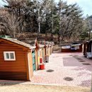 입화산 제2오토야영장 | 울산 지자체캠핑장 명당! 입화산 제2 오토캠핑장 501 사이트 사용 후기