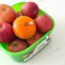 제오라이트코리아 | 데비마이어 그린박스 과일보관용기 과일 채소 신선보관 냉장고정리템