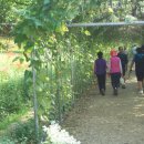 용천사입구 이미지