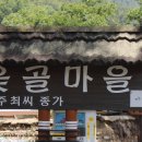 새동촌식당 이미지