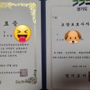 안산조은요양보호사교육원 이미지
