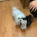 태성민박 | 3대째 추어탕 맛집 [태성추어탕] 평택본점 내돈내산 후기