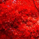 계룡산등산로(절) 이미지