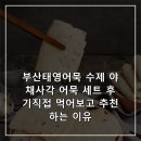 태영야채 | 부산태영어묵 수제 야채사각 어묵 세트 후기직접 먹어보고 추천하는 이유