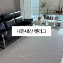 미래세탁소 | 펫러그 거실형 200x400 내돈내산 후기｜강아지 슬개골 매트 추천