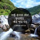 경상북도 계곡 명소 5선 (봉화 백천계곡, 문경 용추계곡, 성주 포천계곡, 울진 덕구계곡, 청송 신성계곡 ) 이미지