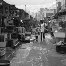 기장꼼장어 이미지