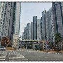 에스에듀 네이버블로그