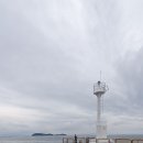 옹진구청 앞1 이미지