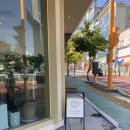 브리얀떼 이미지