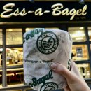 짐버드(GYM BUD) | 뉴욕 2일차: 에싸베이글, 서밋, 갤러거스테이크, 덤보, 브루클린브릿지, 230fifth, 할랄가이즈, 칙필레