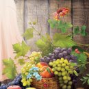 헬시플레저 이미지