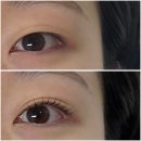 [답십리 속눈썹] 눈매에 맞는 퍼스널 속눈썹펌: 와썹뷰티 솔직 후기