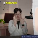 안코비어 이미지