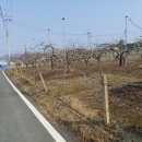 자인공인중개사사무소 이미지