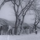 담양약국 이미지