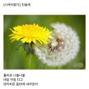 오늘의 小史 이미지