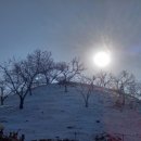 응달농장 이미지