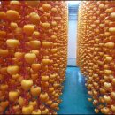 지리산해달원 이미지