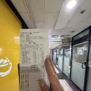 네일판다몰 범계점 | 안산 네일판다몰 맷돌자석 자석네일 성공하다? (feat. 프롬더네일 FG174)