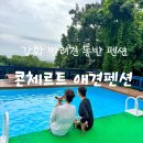 콘체르트 | [강화 펜션 추천] 콘체르트애견펜션_반려견과 여름 휴가 보내기 좋은 펜션 내돈내산 간단후기