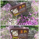 오동목장 이미지