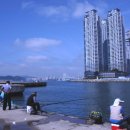 세월낚기 이미지