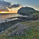 송이부동산공인중개사사무소 이미지