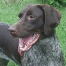 한강동물약품 이미지