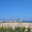 오션서프 | 강원도 서핑 서프오션 고성점 입문강습 후기 (내돈내산) - 인생 첫 서핑 도전!