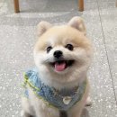 몽몽 MengMeng