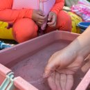 케빈하우스 | 광양 옥룡계곡 케빈하우스 / 아이랑 닭구이 물놀이
