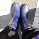 계룡 농장 이미지