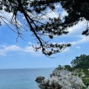 추암택지길 | [동해 가볼만한곳] 추암 촛대바위 출렁다리 - 주차는 회전교차로 반대편 공영 주차장이용 추천