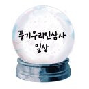 우리인삼사 - 영주시 | 우리인삼사