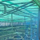 쉬리하우스 이미지