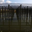 가정배수펌프장 이미지