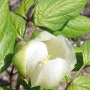 약용식물전문가과정 이미지