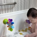 쎄씨 | 쎄씨레인보우목욕놀이 7개월8개월아기장난감 솔직후기