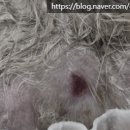 좌천동물병원 이미지