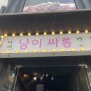 이쁜냥이 | 대전 은행동 아이와가볼만한 “냥이싸롱”고양이카페