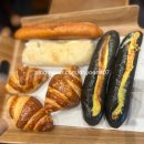 OMC헤어 | 2026 대전 뷰티엑스포 OMC 아시아 컵 관람 후기 & 성심당