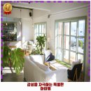 59독 | 녹산동 애견카페 포레스트3002 운영시간 및 방문 정보와 가격까지 한번에 알아봐요