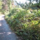 금대리828 이미지