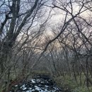 동인스파월드 | [제주도] 한라산 성판악코스 정복