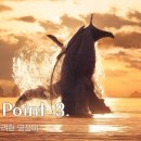 Avatar The Way of Water 이미지