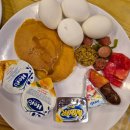 신비무역 | 요르단 Day11ㅣ아름답고 신비롭고 개힘들었던 요르단...ㅣ울프사파리 1박2일후기, 요르단와디럼...