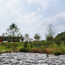 낙동강 강변하우스 이미지