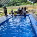 청아농장 이미지